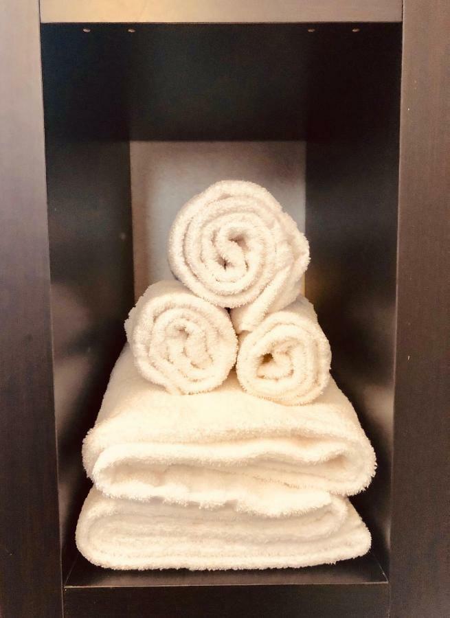 Casa Ciampi Locazione Turistica Hotell Pisa Exteriör bild